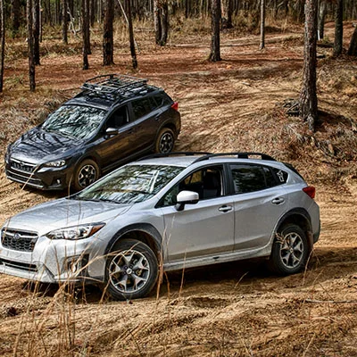 2月18日|19.5M/S，Clash节点/SSR节点/Shadowrocket节点/V2ray节点|免费订阅机场|每天更新免费梯子